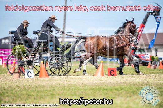 Mintakép 20260509-304