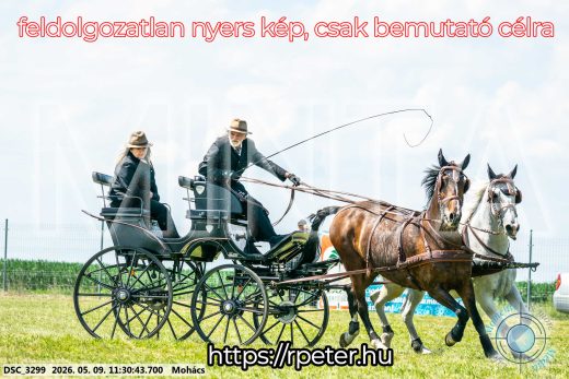 Mintakép 20260509-305