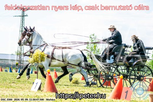 Mintakép 20260509-306