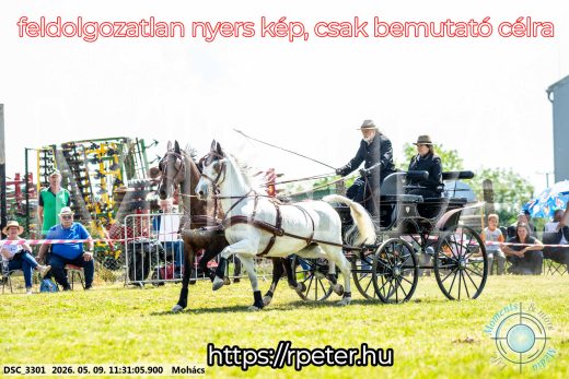 Mintakép 20260509-307