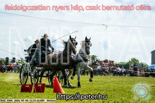 Mintakép 20260509-309
