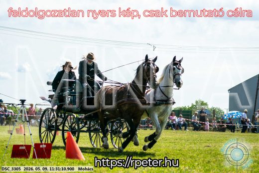 Mintakép 20260509-310