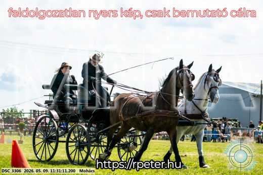 Mintakép 20260509-311