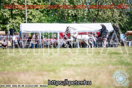 Mintakép 20260509-313
