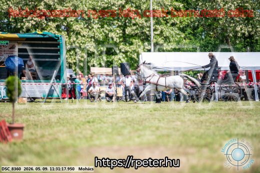 Mintakép 20260509-314