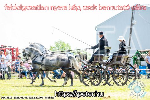 Mintakép 20260509-317