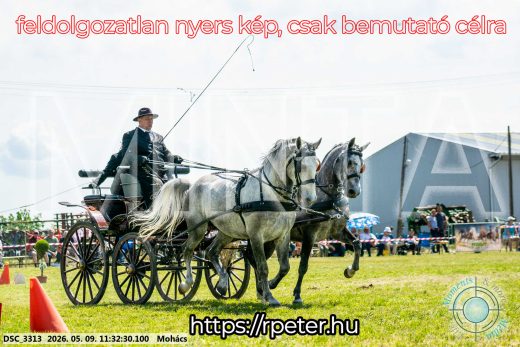 Mintakép 20260509-318