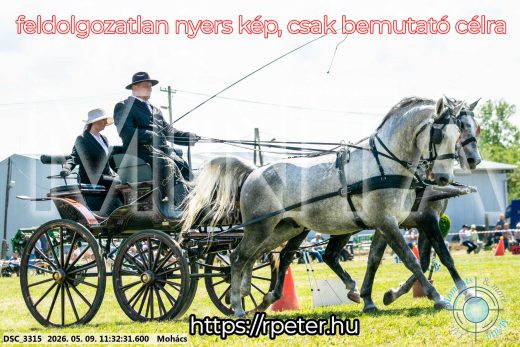 Mintakép 20260509-320