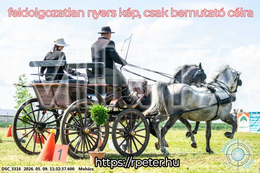 Mintakép 20260509-321