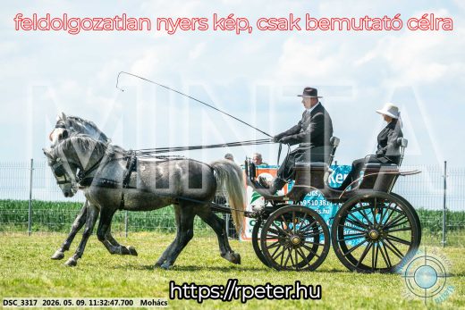 Mintakép 20260509-322