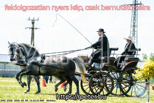 Mintakép 20260509-323
