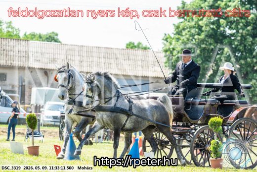 Mintakép 20260509-324