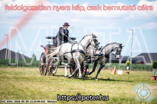 Mintakép 20260509-329