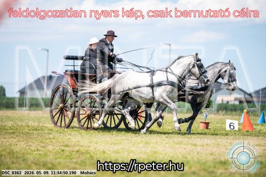 Mintakép 20260509-330