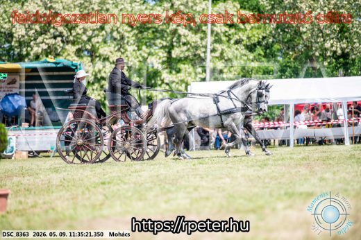 Mintakép 20260509-331