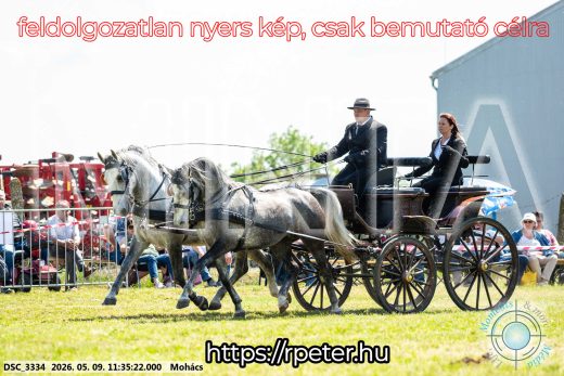 Mintakép 20260509-332