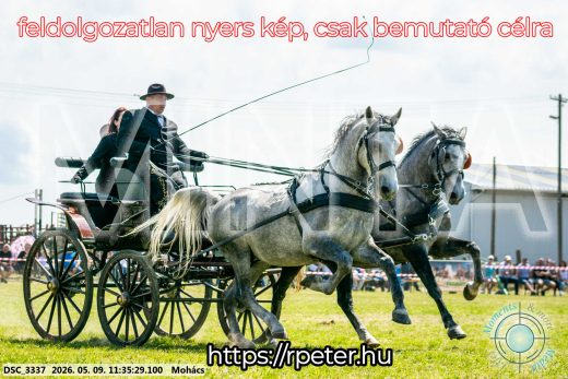 Mintakép 20260509-334
