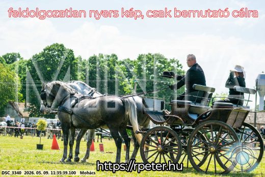 Mintakép 20260509-338
