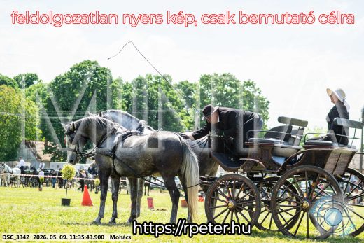 Mintakép 20260509-339
