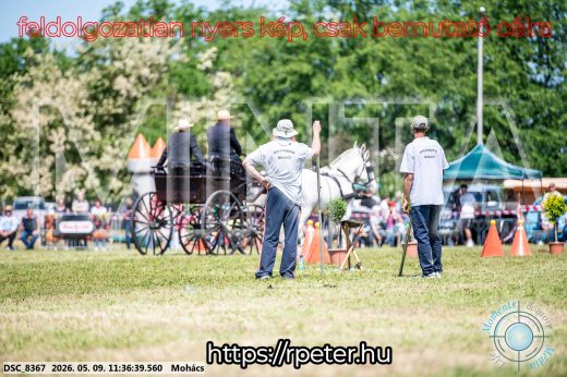 Mintakép 20260509-341