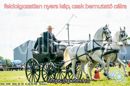 Mintakép 20260509-342