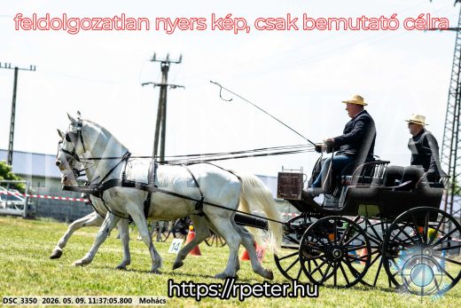 Mintakép 20260509-343