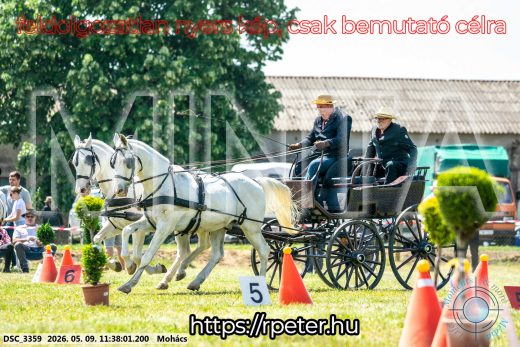 Mintakép 20260509-345