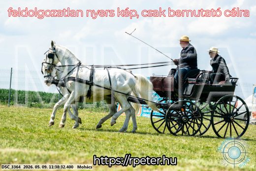 Mintakép 20260509-348