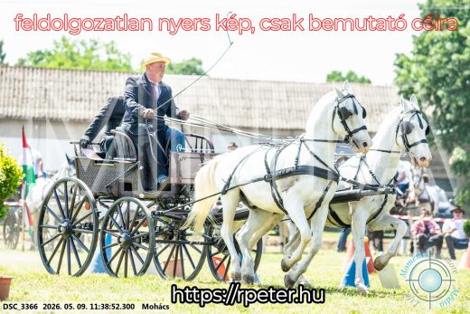 Mintakép 20260509-349