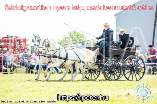 Mintakép 20260509-351
