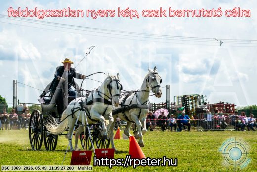 Mintakép 20260509-352