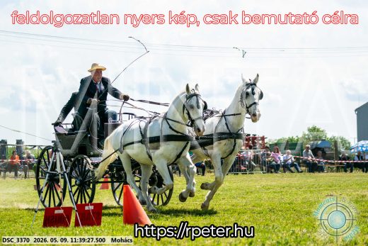 Mintakép 20260509-353