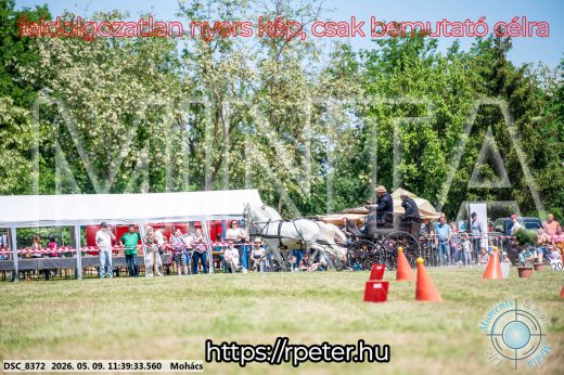 Mintakép 20260509-356