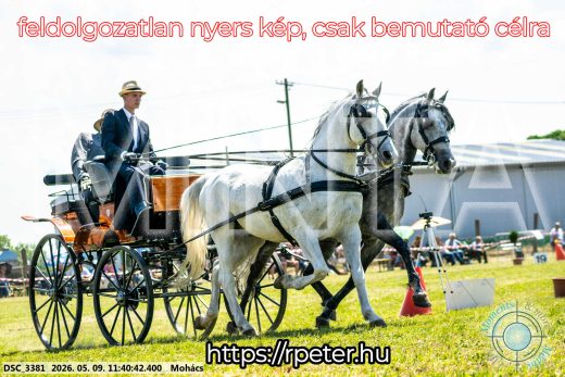 Mintakép 20260509-364