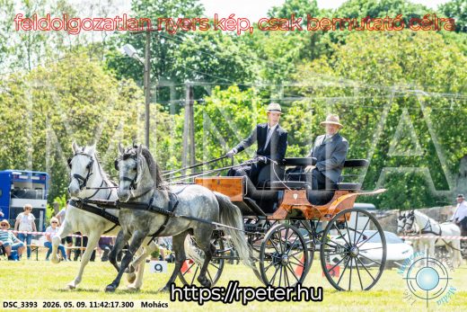 Mintakép 20260509-372