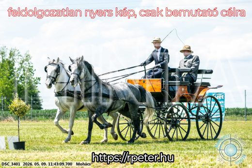 Mintakép 20260509-378