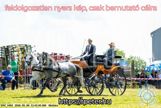 Mintakép 20260509-379