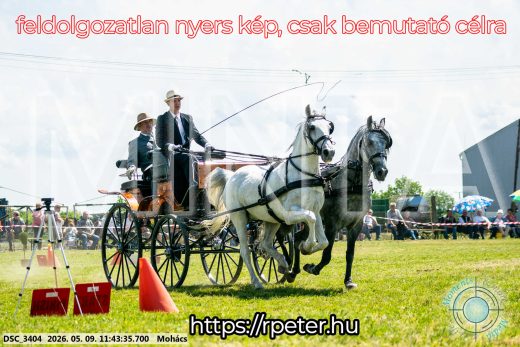 Mintakép 20260509-380