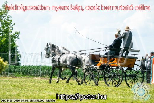 Mintakép 20260509-383