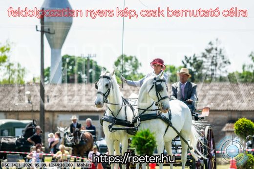 Mintakép 20260509-385