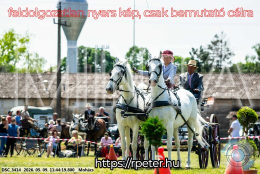 Mintakép 20260509-386