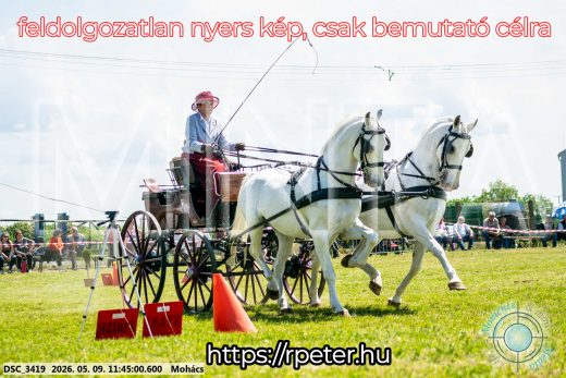 Mintakép 20260509-390