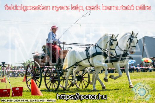 Mintakép 20260509-391