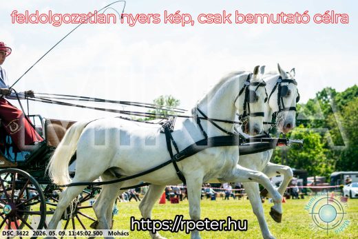 Mintakép 20260509-392