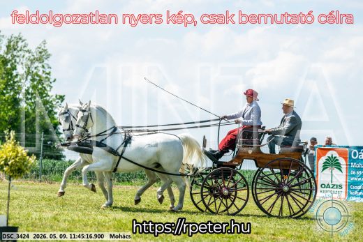 Mintakép 20260509-393