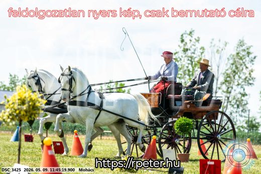 Mintakép 20260509-394