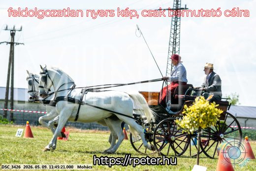 Mintakép 20260509-395