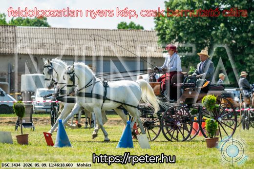 Mintakép 20260509-400