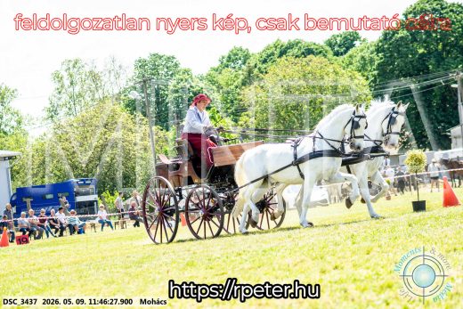 Mintakép 20260509-403