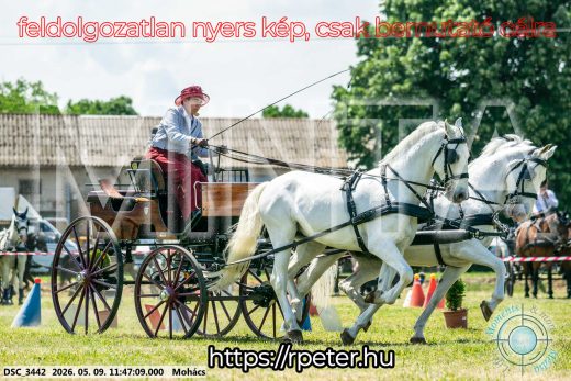 Mintakép 20260509-405